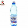 Natural still mineral water "Borsec", 0.5l