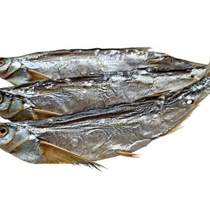 Dried salted sabrefish  total 70-120g