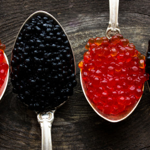 Caviar