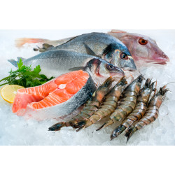 Fish and seafood